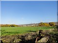 Looking east from Banesley Lane