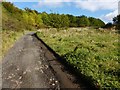 Track to Highdykes Farm