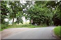 Road past Lake Hill Cottages