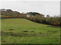 View towards Huntsham Castle Farm