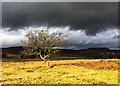 SK2679 : Sunshine and showers by Graham Hogg