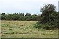 SU1337 : Mown grass field, Great Durnford by Derek Harper
