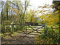 Entrance to Treswell Wood