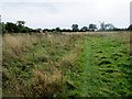 Field with view of wind turbine