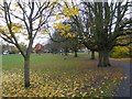 Path in the south-east corner of Wandsworth Common