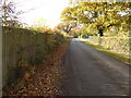 Broxmead Lane approaching the entrance to Bolney Park Farm