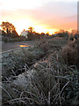 Sun rise at Magor Marsh