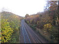 Railway line near Great Triley Wood