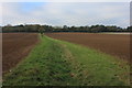 Footpath from Bures to Lamarsh.