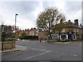 Tree and shops in Cavendish Road