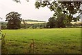 Pasture below Netton Hill