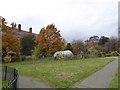 The community area of Agnes Riley Gardens