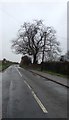 Harringworth Road near Gretton