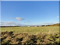 View from the railway walk, Consett