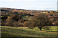 Across valley of Hisehope Burn