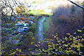 Lane by allotments, Cwmfelinfach