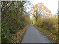 TQ6948 : Emmett Hall Lane near Laddingford by Ron Lee