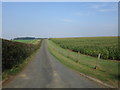 Roadway to Saltby Heath Farm