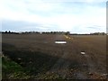 Ploughed Fields near Cottingham