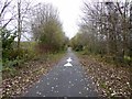 SJ8446 : Newcastle-under-Lyme: path and cycleway by Jonathan Hutchins
