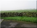 SE2258 : Step Stile in dry stone wall by Sleights Farm by Peter Holmes