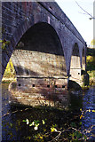 NT5135 : Redbridge Viaduct by Stephen McKay