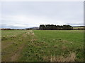 Footpath towards West Bolton