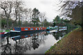 Glass-like stillness on the Shropshire Union Canal