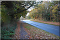 Autumnal colours by Wobaston Road