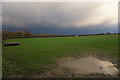 Field by Pendeford Hall Lane