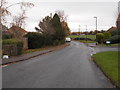 Albion Street - viewed from Moor Avenue