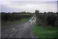 Puddly track near Lawn Farm