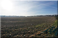 Bright morning light on a ploughed field