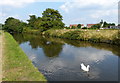 Staffordshire and Worcestershire Canal at Coven Heath