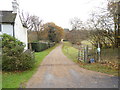 Looking south on bridleway from The Street