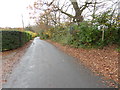 Looking south on Colwood Lane