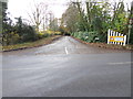 Looking into Colwood Lane from the north