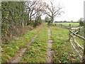 Footpath going east towards Southland Farm