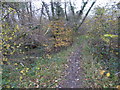 Footpath over stream east of Bull