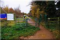 The main footpath in Stratton Wood, Kingsdown Road, Kingsdown, Swindon