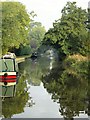 Autumn morning on the canal