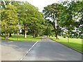 Parkland at Crichton, Dumfries