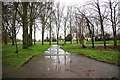 SO9570 : A wet morning in Sanders Park, Bromsgrove, Worcs by P L Chadwick