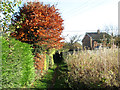 Public footpath to Low Common