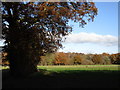 SK8760 : Late autumn near Stables Wood Farm by Jonathan Thacker