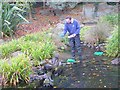 Feeding the otters, London Wetland Centre