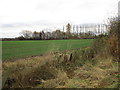 Line of trees near the Chesterfield Canal