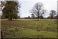 Field off Mill Lane, Brandesburton