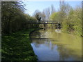 Oxford Canal Walk