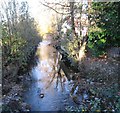 The Moygannon River from the A2 (Rostrevor Road) bridge